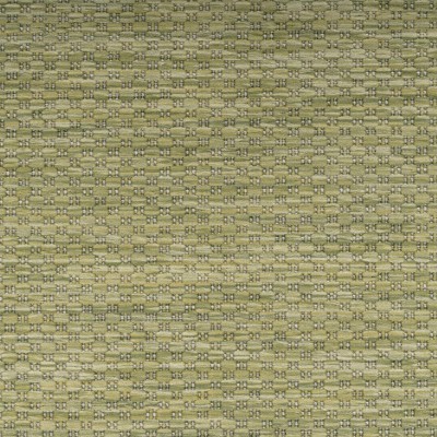 RAVENA - 4311 [Tapete - Green] 