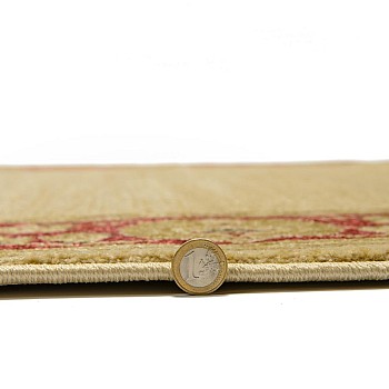 SALGUEIRO LISO - 7709 [Tapete - Bege]