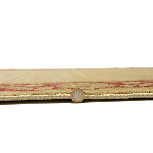 SALGUEIRO LISO - 7709 [Tapete - Bege]