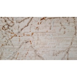 GALIÃO - 8767 [Passadeira - Bege]