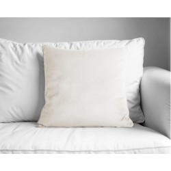 MARAVILHOSO4 - [Almofada Decorativa - Bege]