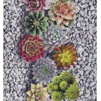 VOLTERRA - Cactus [Passadeira - Multi-Cor]
