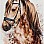 TERNURA - 1,20*1,70 - 236 - Brown Beauty [Tapete - Multi - Multi-Cor/Castanho/Marfim]